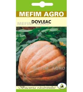 Seminte Dovleac Atlantic Giant – 2 gr