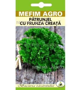 Seminte Patrunjel cu Frunza Moss Curled – 3 gr