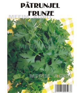 Seminte Patrunjel Frunze Comun - 500 gr