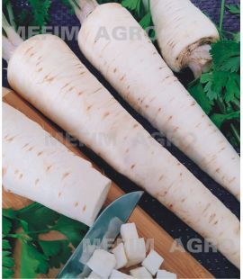 Seminte Patrunjel Radacina - 500 gr