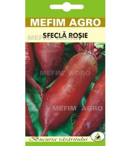 Seminte Sfecla Rosie Cylindra – 4 gr
