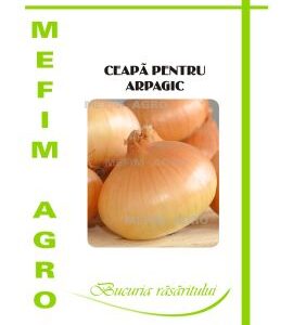 Seminte Ceapa pentru Arpagic Stuttgarter – 100 gr