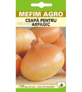Seminte Ceapa pentru Arpagic Stuttgarter – 2 gr