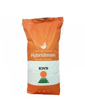 Samanta Porumb KWS OLTENIO - FAO 360 - Sac 50000 boabe