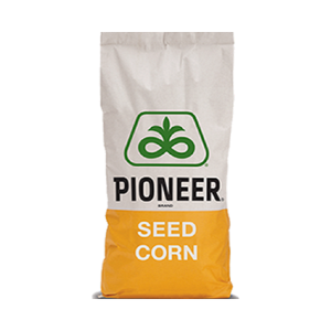Seminte Porumb Pioneer P9074 – 80000 boabe