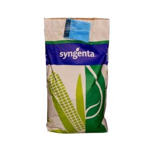Seminte Porumb Syngenta Evident FAO 400-440 – 50000 boabe