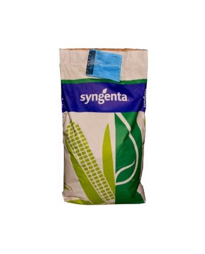 Seminte Porumb Syngenta Evident FAO 400-440 - 50000 boabe